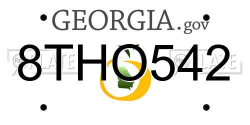 8THO542 Georgia License Plate