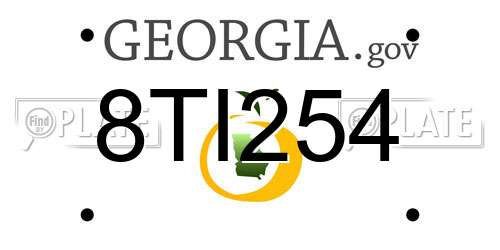 8TI254 Georgia License Plate