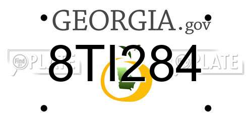8TI284 Georgia License Plate