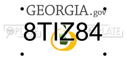 8TIZ84 Georgia License Plate