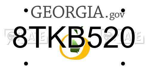 8TKB520 Georgia License Plate