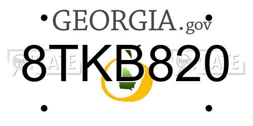 8TKB820 Georgia License Plate