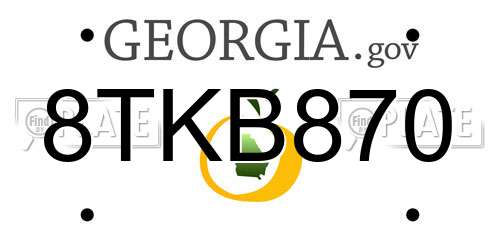 8TKB870 Georgia License Plate