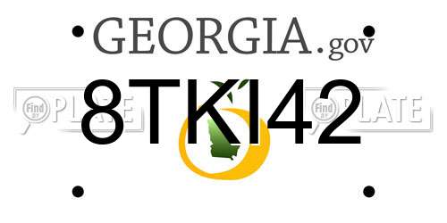 8TKI42 Georgia License Plate