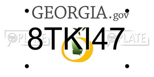 8TKI47 Georgia License Plate