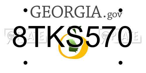 8TKS570 Georgia License Plate