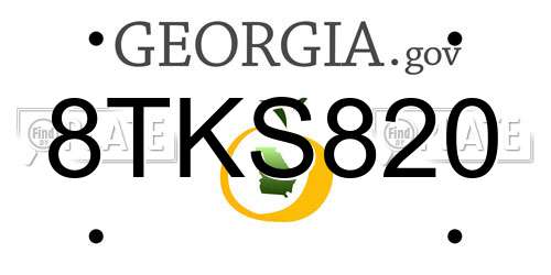 8TKS820 Georgia License Plate