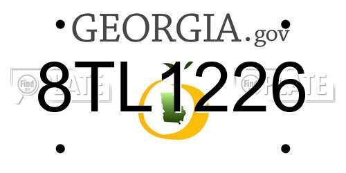 8TL1226 Georgia License Plate