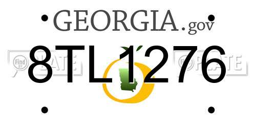 8TL1276 Georgia License Plate