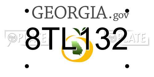8TL132 Georgia License Plate