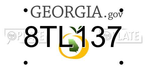 8TL137 Georgia License Plate