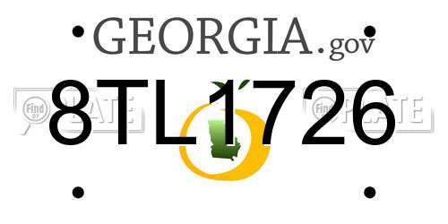 8TL1726 Georgia License Plate