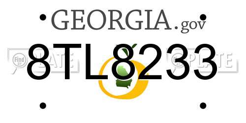8TL8233 Georgia License Plate