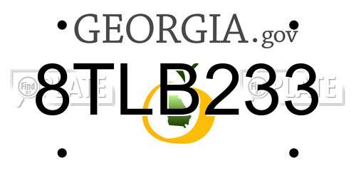8TLB233 Georgia License Plate