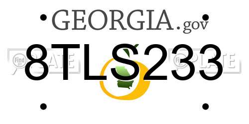 8TLS233 Georgia License Plate