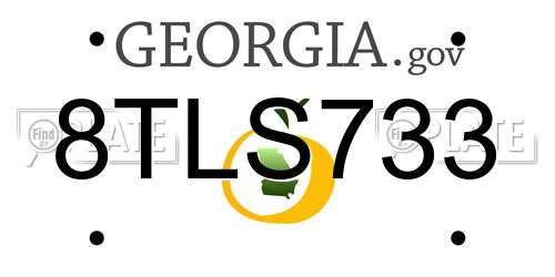 8TLS733 Georgia License Plate