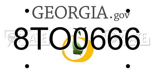 8TO0666 Georgia License Plate