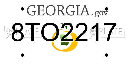8TO2217 Georgia License Plate