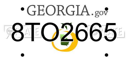 8TO2665 Georgia License Plate