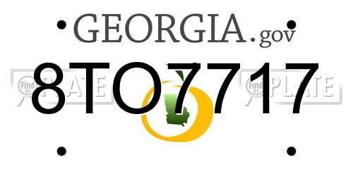 8TO7717 Georgia License Plate