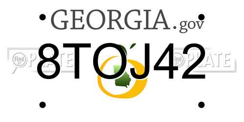 8TOJ42 Georgia License Plate