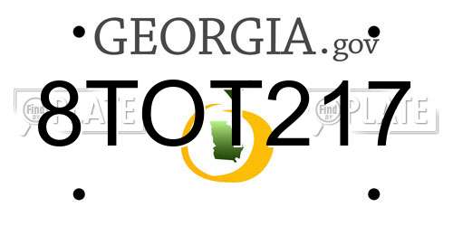 8TOT217 Georgia License Plate