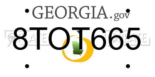 8TOT665 Georgia License Plate
