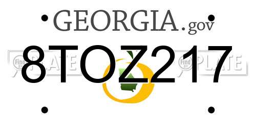 8TOZ217 Georgia License Plate