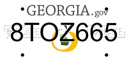8TOZ665 Georgia License Plate
