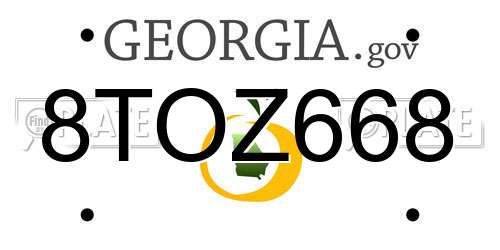 8TOZ668 Georgia License Plate