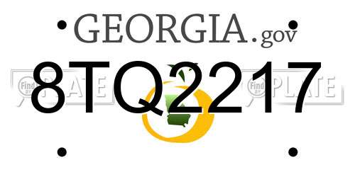 8TQ2217 Georgia License Plate