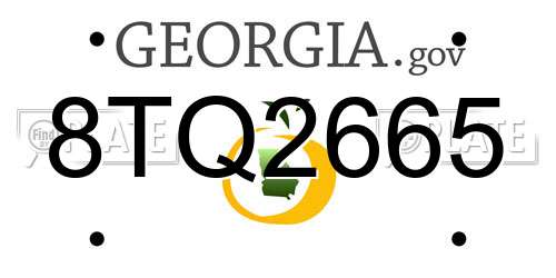 8TQ2665 Georgia License Plate