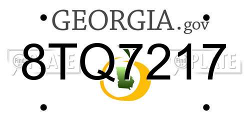8TQ7217 Georgia License Plate