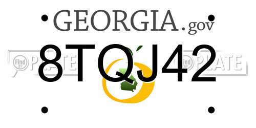 8TQJ42 Georgia License Plate