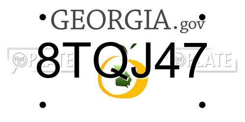 8TQJ47 Georgia License Plate