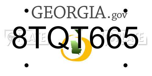 8TQT665 Georgia License Plate