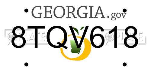 8TQV618 Georgia License Plate