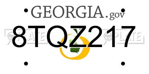 8TQZ217 Georgia License Plate