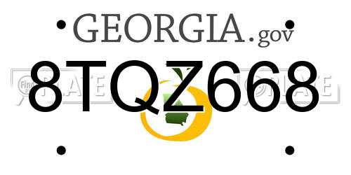 8TQZ668 Georgia License Plate