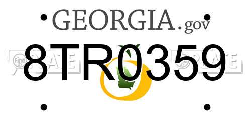 8TR0359 Georgia License Plate