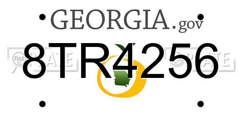 8TR4256 Georgia License Plate