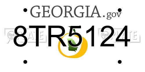 8TR5124 Georgia License Plate