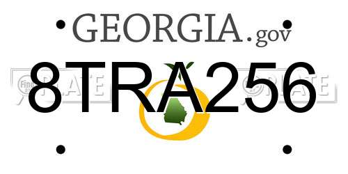 8TRA256 Georgia License Plate