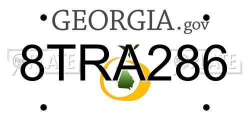 8TRA286 Georgia License Plate