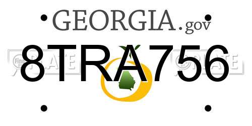 8TRA756 Georgia License Plate
