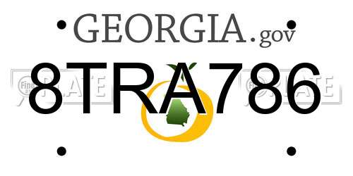 8TRA786 Georgia License Plate