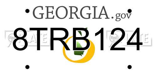 8TRB124 Georgia License Plate