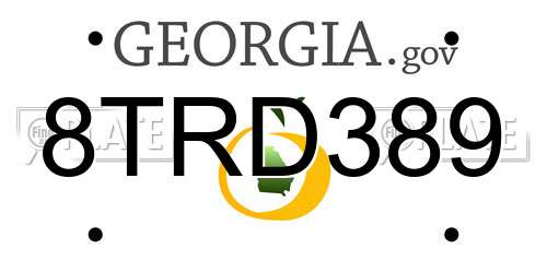 8TRD389 Georgia License Plate