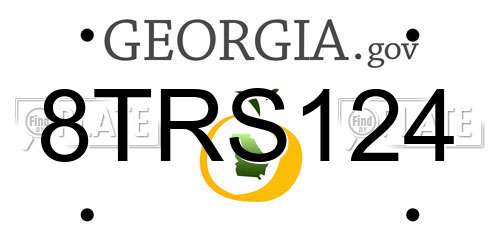 8TRS124 Georgia License Plate