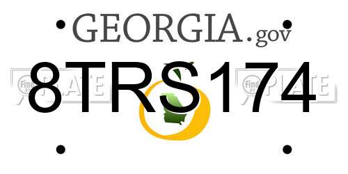 8TRS174 Georgia License Plate